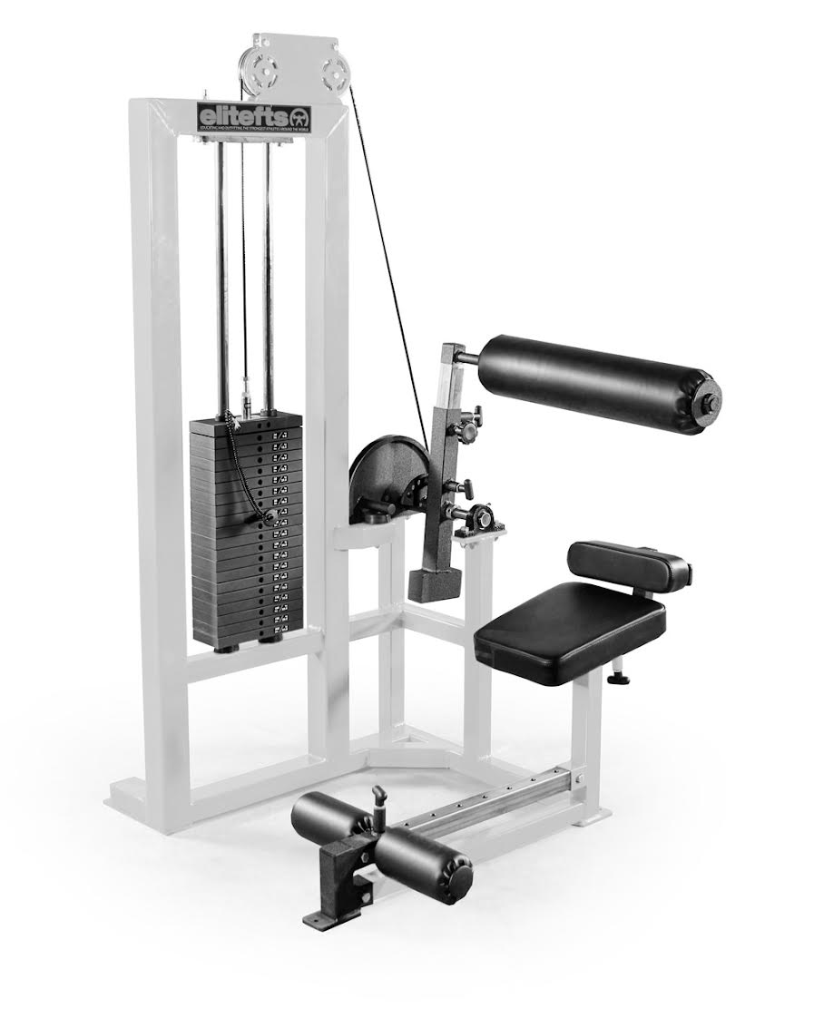 elitefts  Low Back Machine - Selectorized