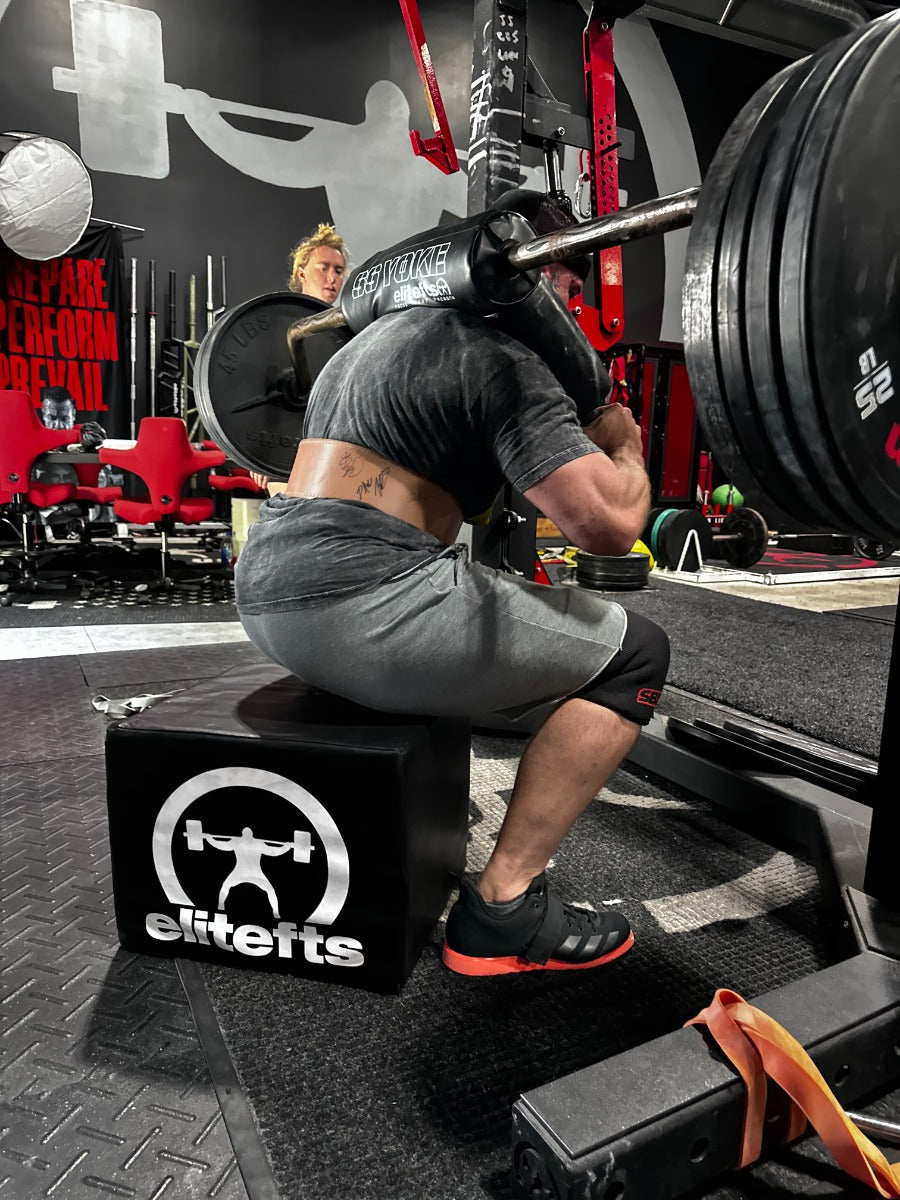 squat box 