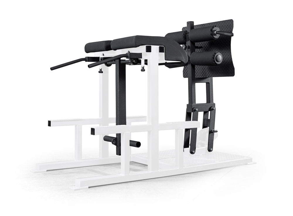 elitefts Posterior Chain Developer